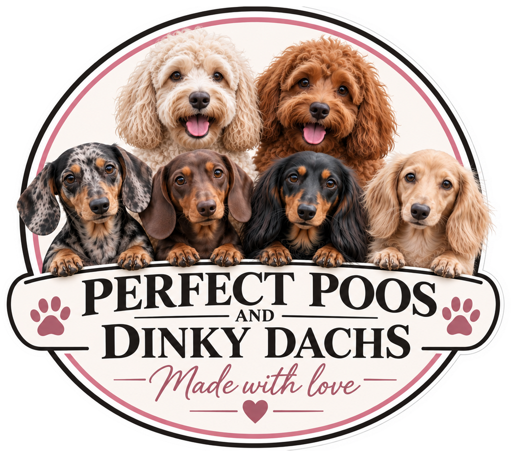 Perfect Poos and Dinky Dachs logo: two doodles and four miniature dachshunds, made with love